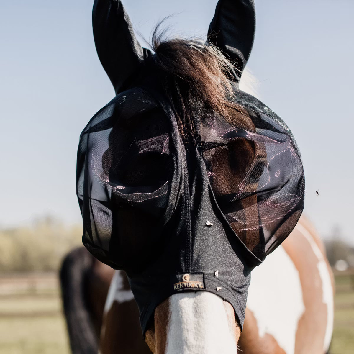 Kentucky Fly mask slim fit
