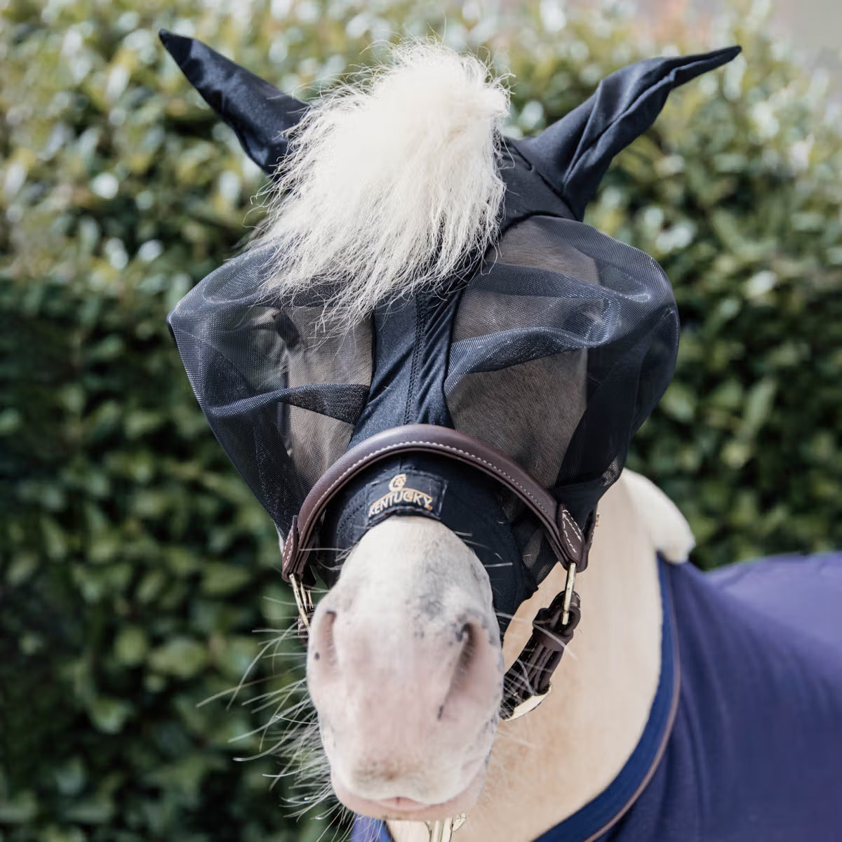 Kentucky Fly mask slim fit