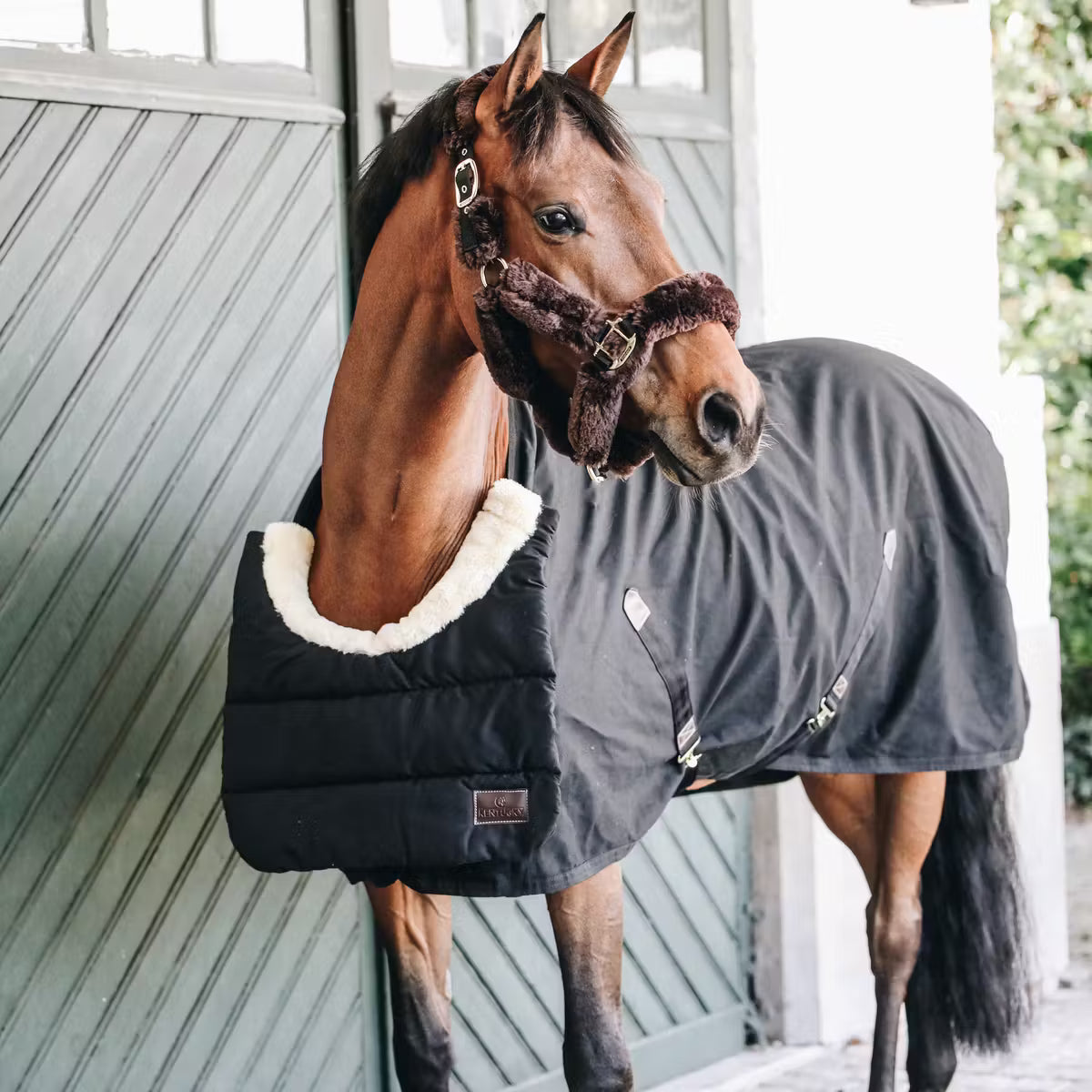 Kentucky Horse BIB winter