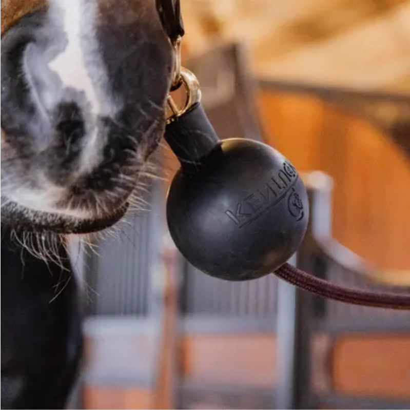 Kentucky Skyddsboll för vägg och uppbindning