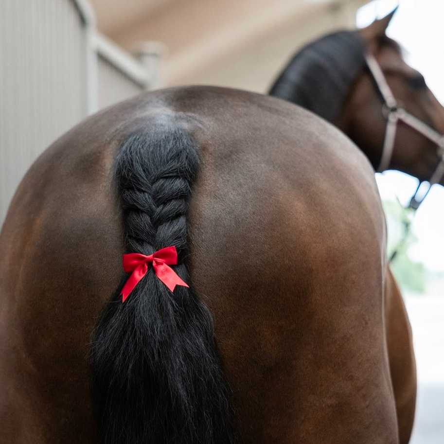 Kingsland Daisey Svansrosett 2-pack