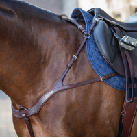 Dyon NE Anatomical chest harness 5-point