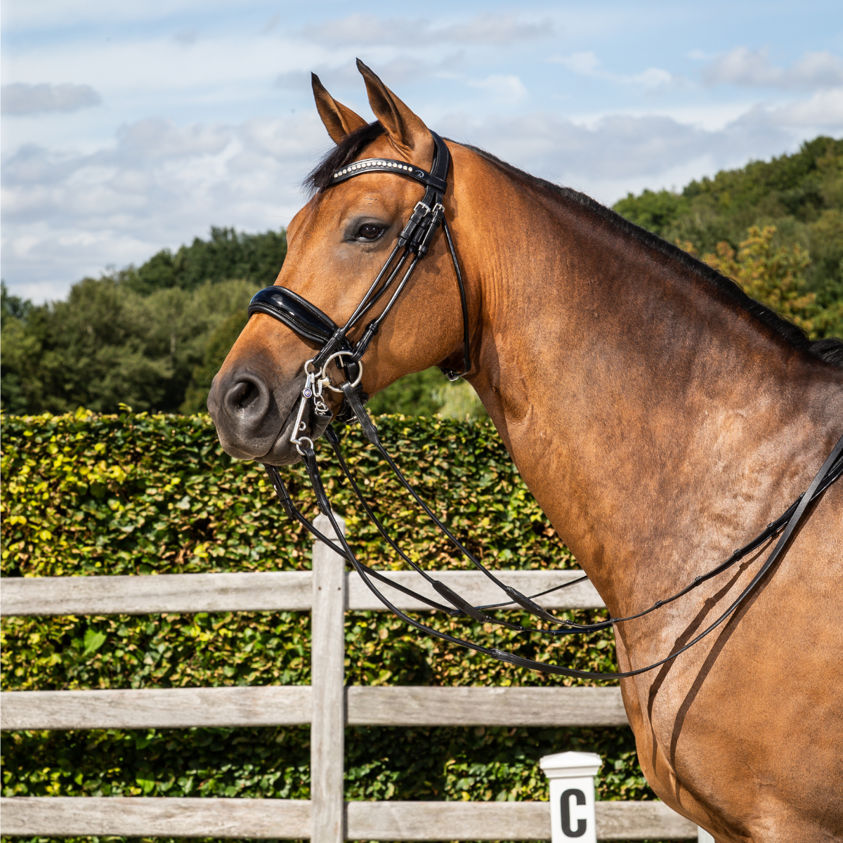 Dyon NR Rundsytt kandar lackad pullbacknosgrimma