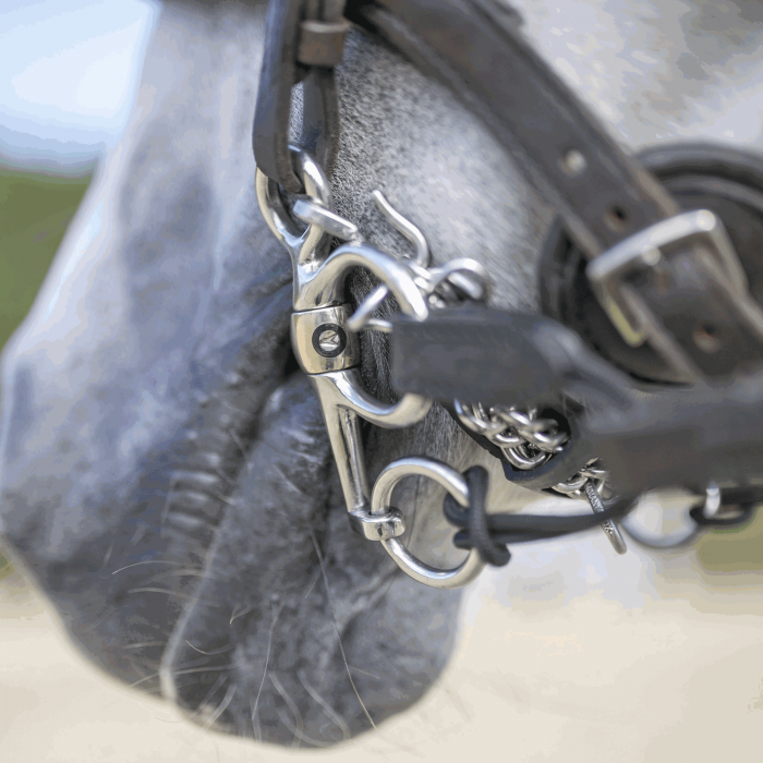 Sprenger Dynamic RS pelham 2-delat kort skänkel