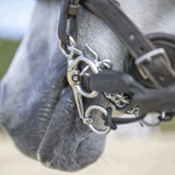 Sprenger Dynamic RS pelham 2-delat kort skänkel