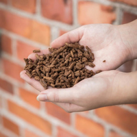 Back on Track Nypon pellets