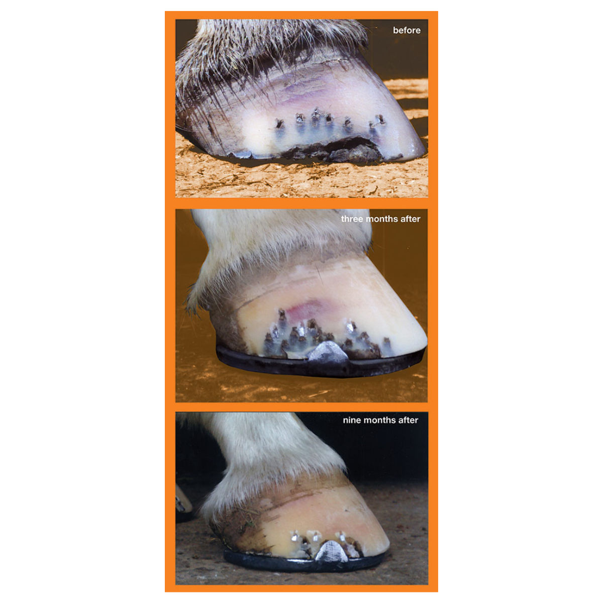 NAF ProFeet pulver 1,3kg