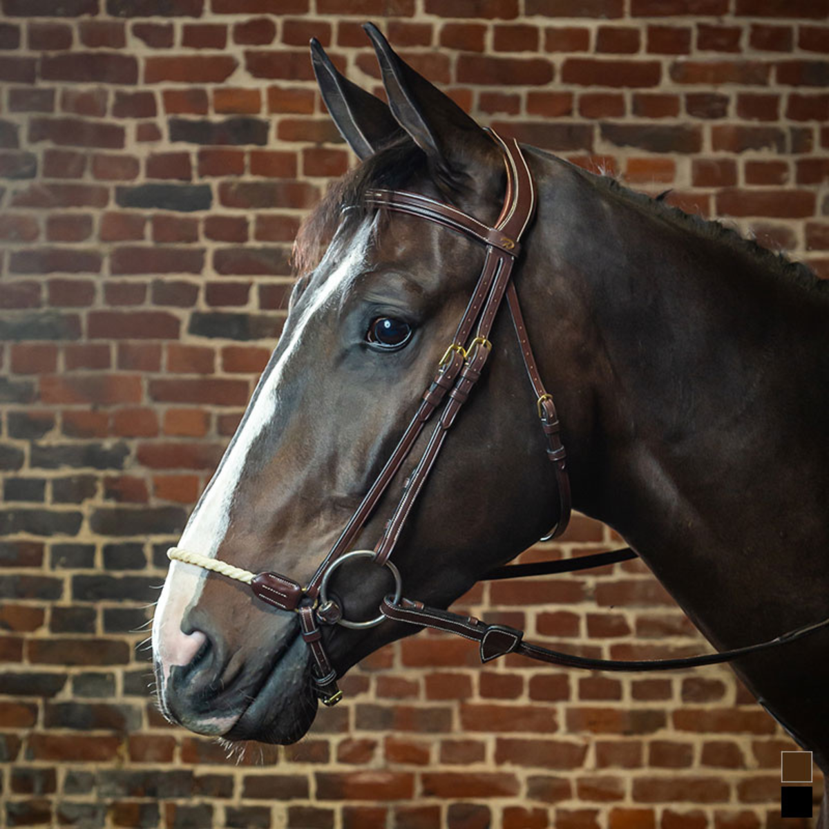 Dyon DY Bridle remont nose halter in rope