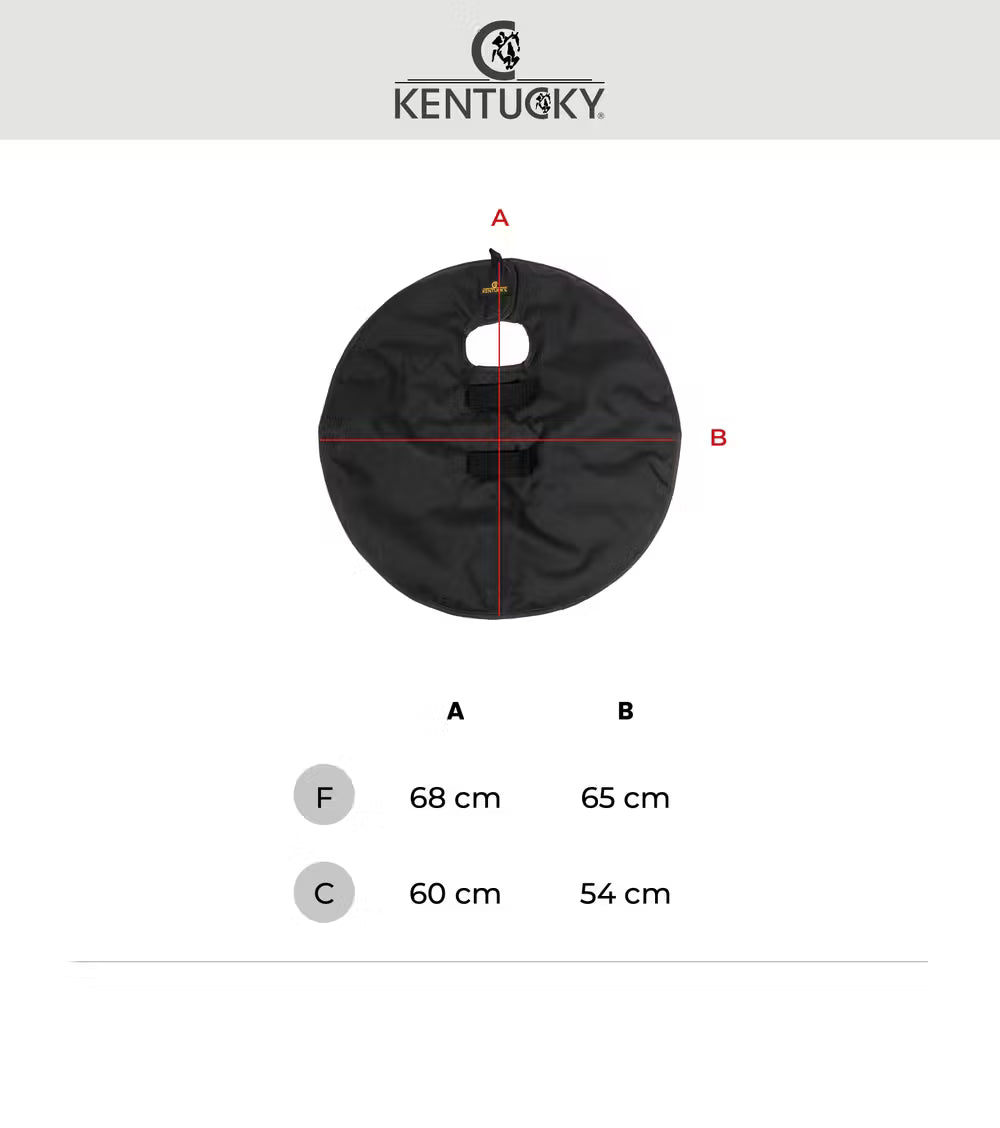 Kentucky Quarter Guard