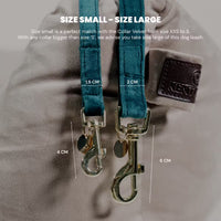 Kentucky Dog Leash Velvet 120cm