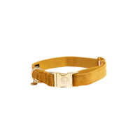 Kentucky Hundhalsband Velvet