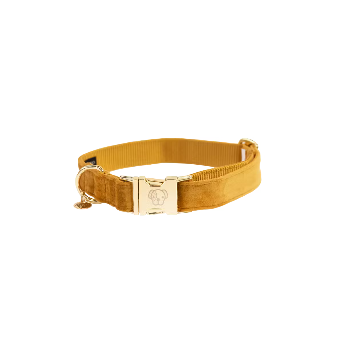 Kentucky Hundhalsband Velvet