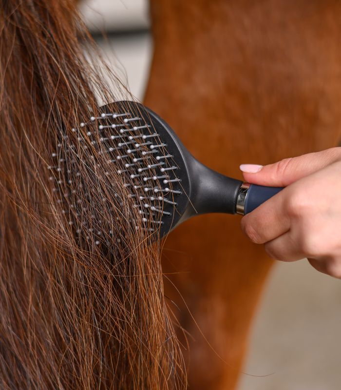 Waldhausen Man & Svansborste med Gelhandtag