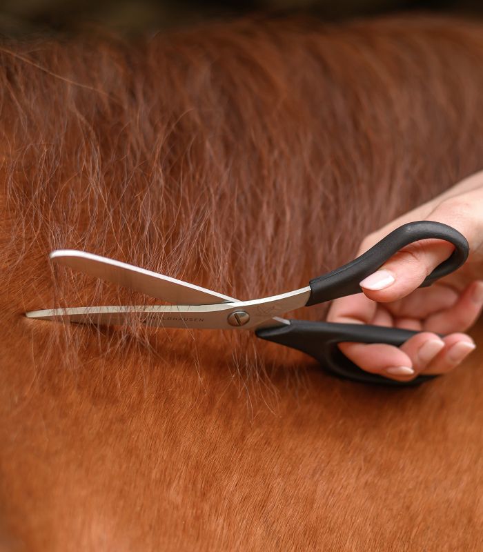 Waldhausen "Easy cut" mane and tail sax