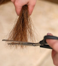 Waldhausen "Easy cut" mane and tail sax