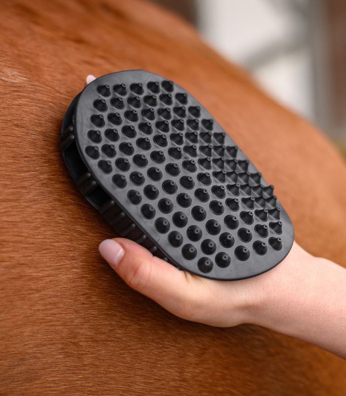 Waldhausen Massagehandske