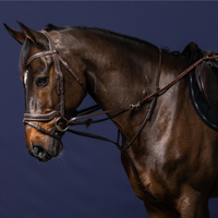 Dyon WO Thiedemann system