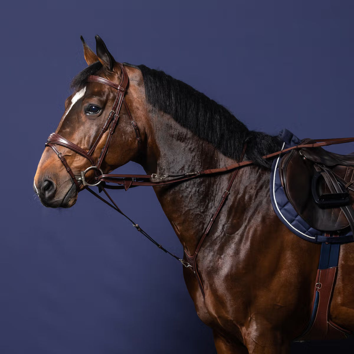 Dyon WO Thiedemann Fäste