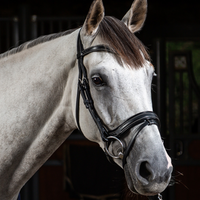 Dyon WO Träns working fit