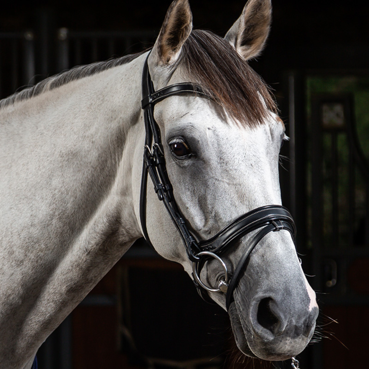 Dyon WO Träns working fit