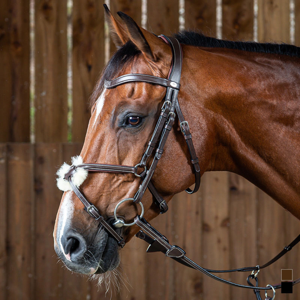 Dyon WO Träns mexikansk nosgrimma
