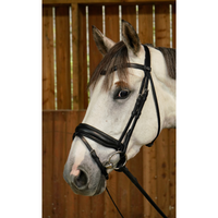 Dyon WO Dressyrträns Large komb.nosgrimma